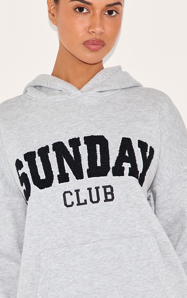 Ash Grey Oversized Sunday Borg Applique Hoodie image 4