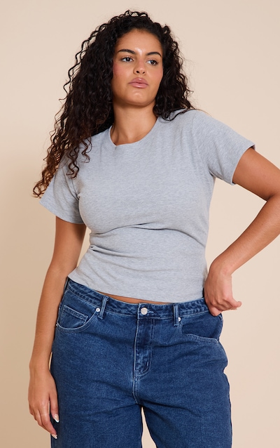 Plus Grey Soft Rib Crew Neck Short Sleeve Top