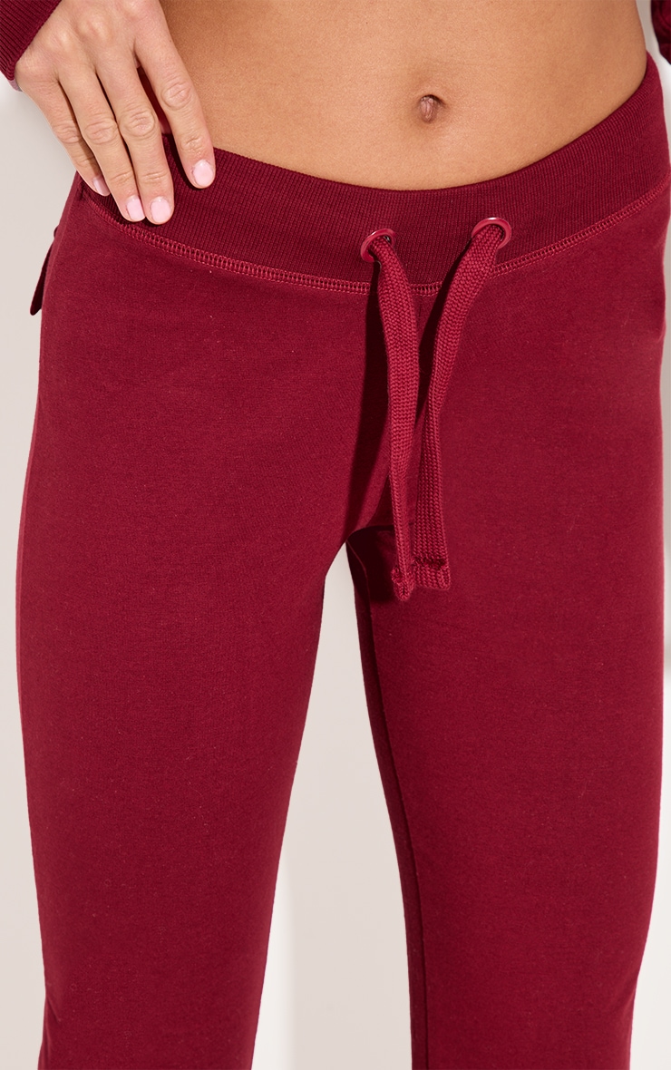 Burgundy Low Rise Skinny Flare Trousers image 4