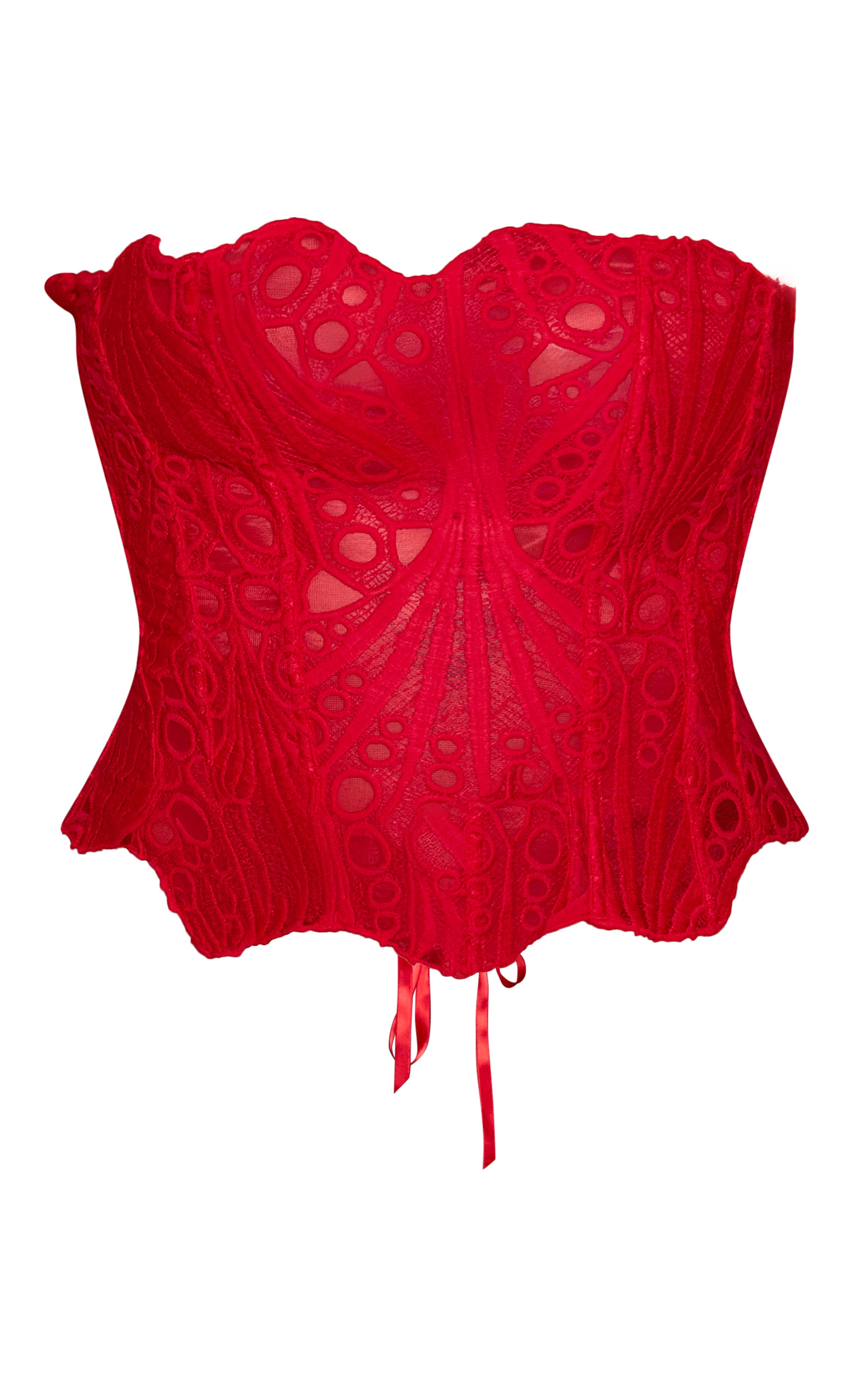 Plus Red Textured Sheer Floral Lace Corset image 5