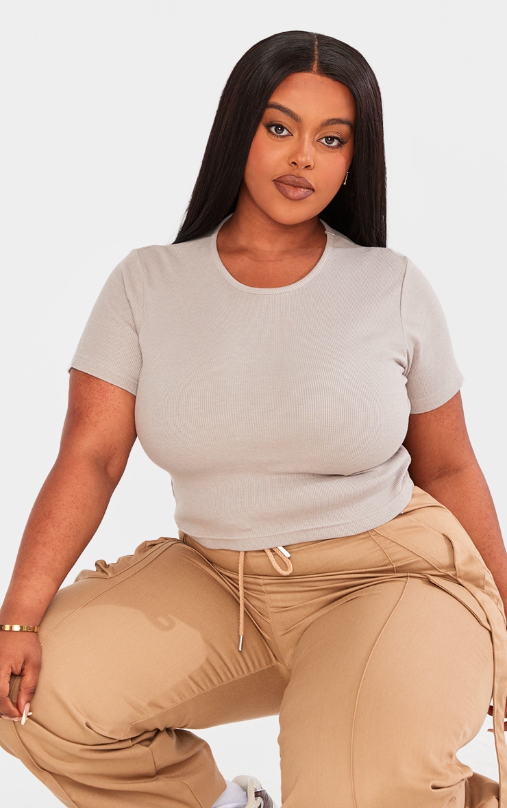 Plus Ash Grey Basic Rib Short Sleeve Crop Top image 3