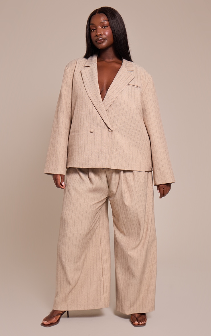 Plus Taupe Pinstripe Pleated Wide Leg Pants image 1