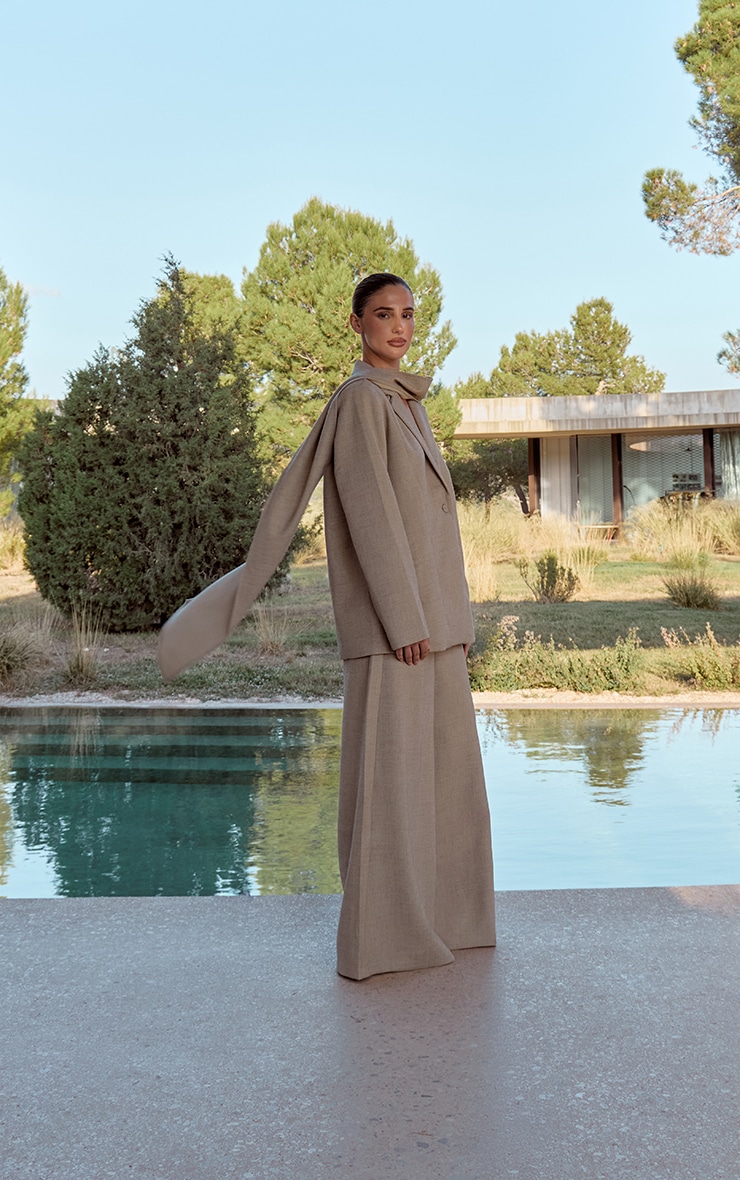 Stone Woven Wide Leg Extreme Pleated Pants image 3