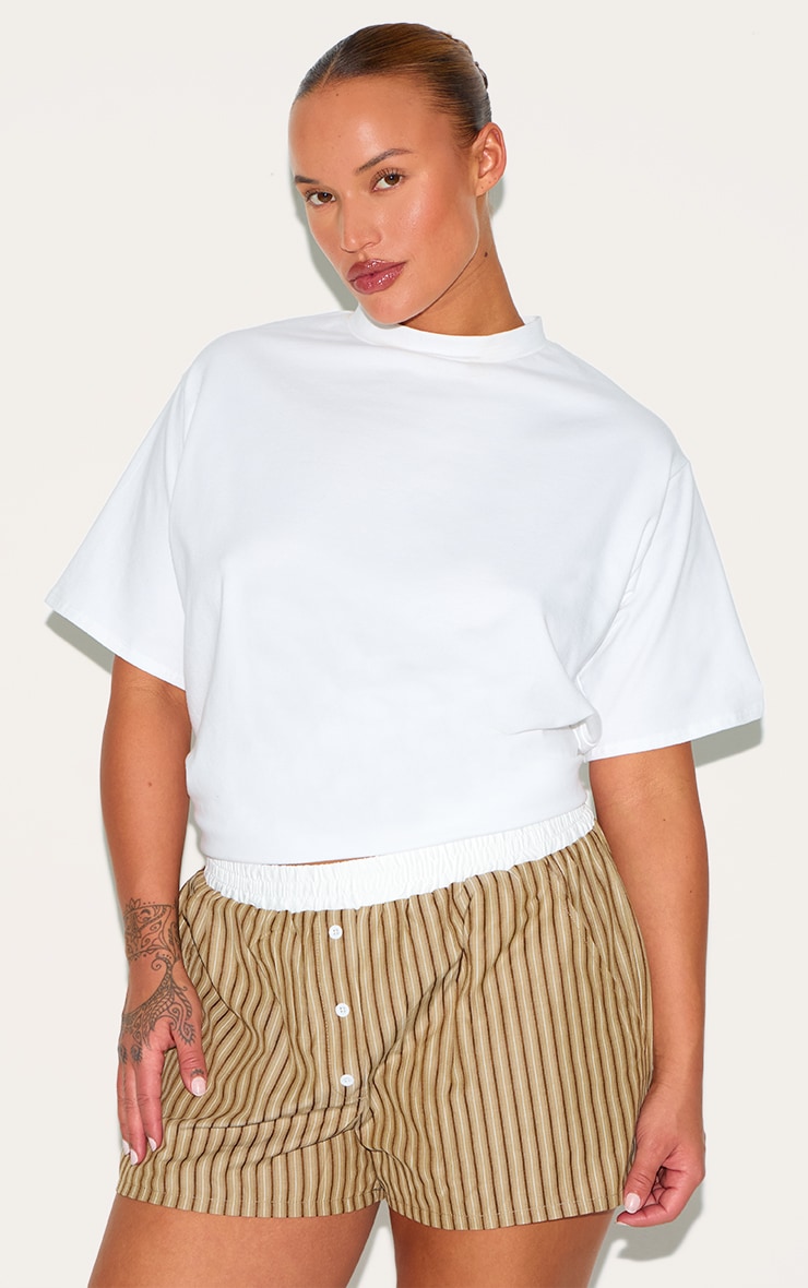 Plus Chocolate Pinstripe Cotton Poplin Contrast Waistband Short image 4