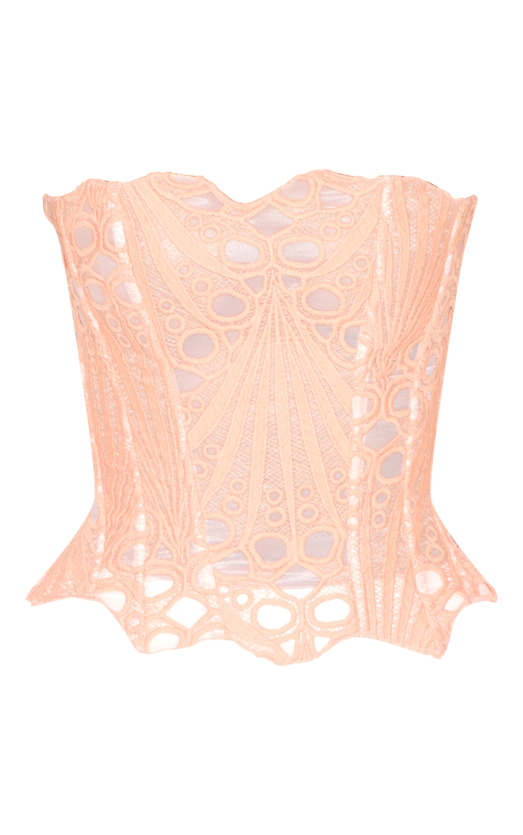 Peach Textured Sheer Floral Lace Corset image 5