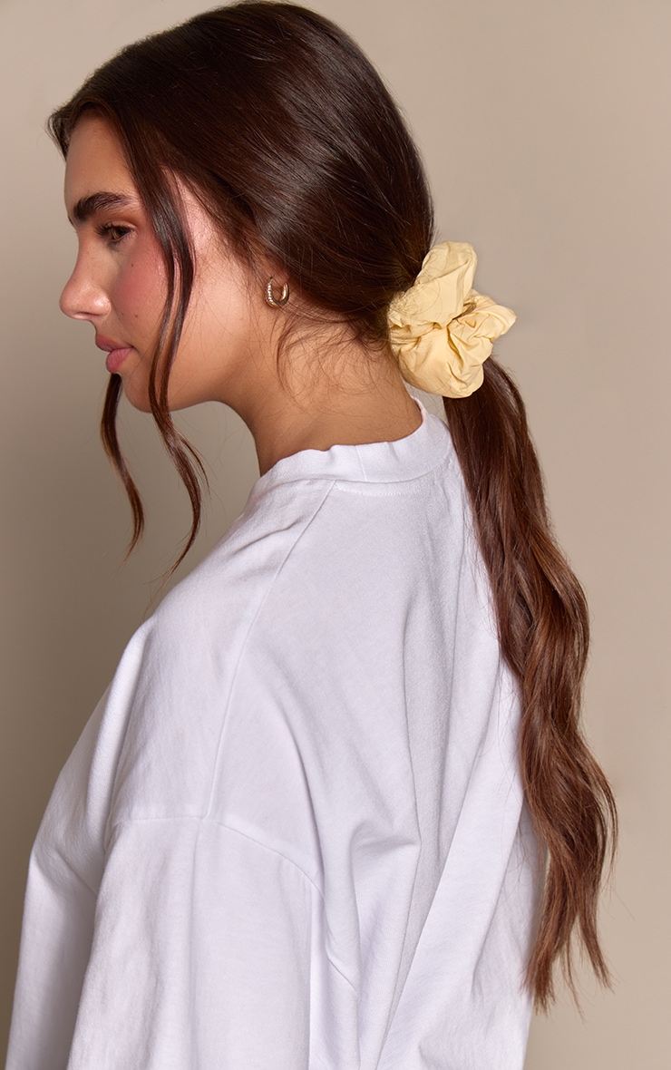 Lemon Powder Blue Scrunchie Multi Pack image 1