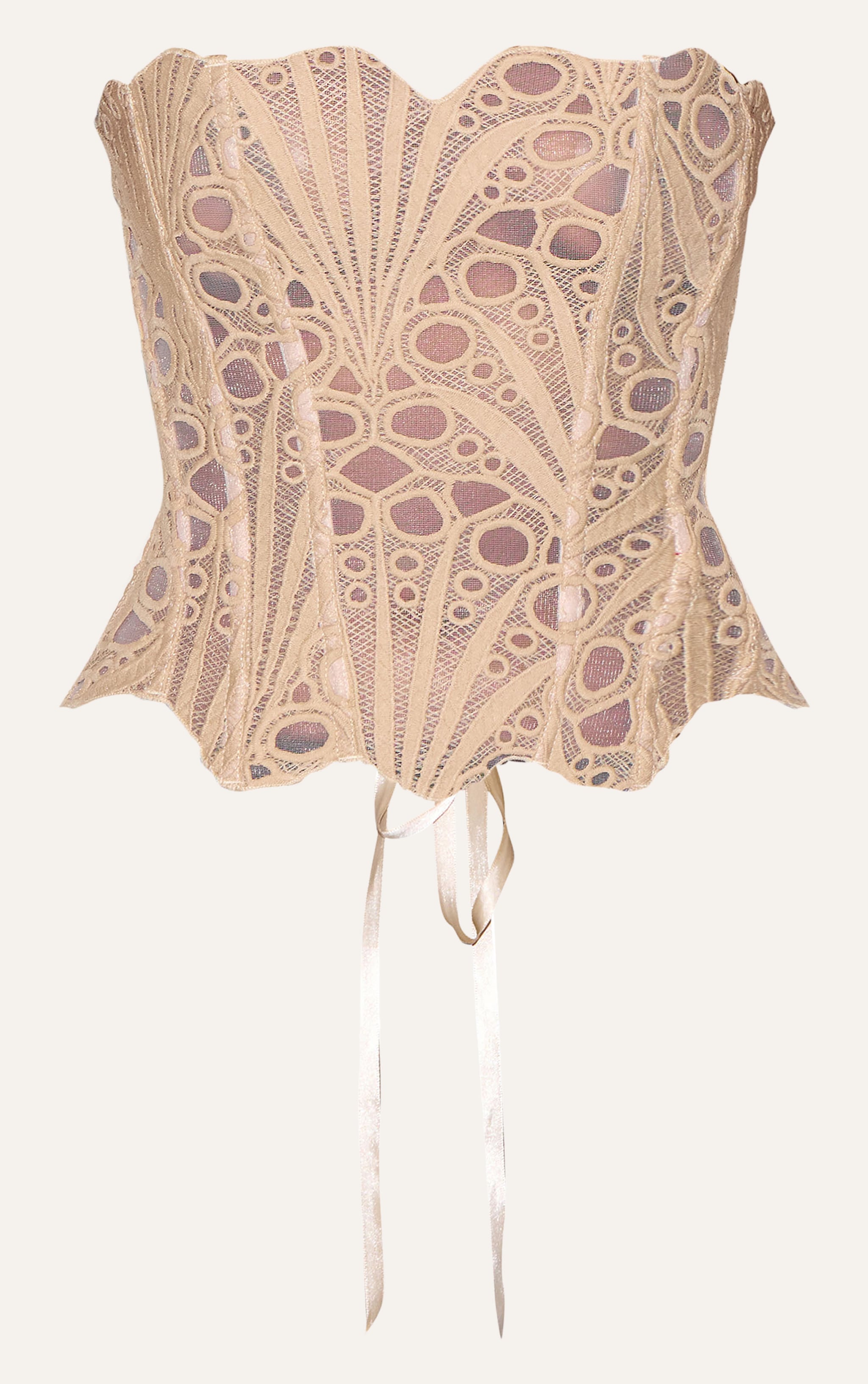 Almond Textured Sheer Floral Lace Corset image 5