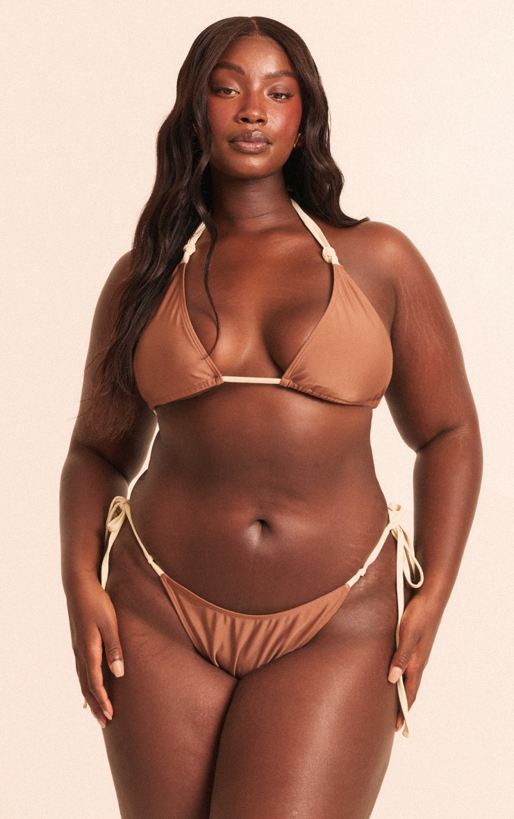 Plus Chocolate Contrast Binding Knot Triangle Bikini Top image 1
