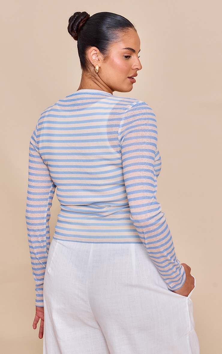 Plus Sky Blue Striped Sheer Button Up Top image 2