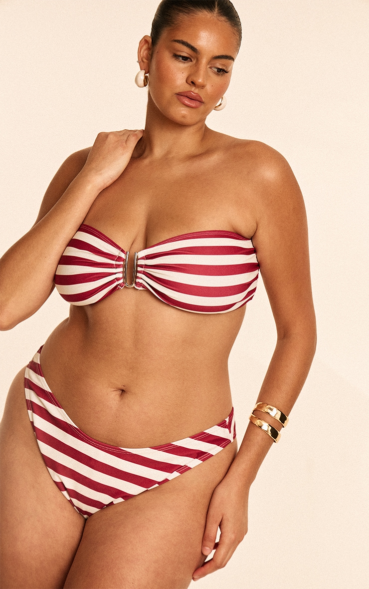 Plus Burgundy Stripe Tanga Bikini Bottoms image 1