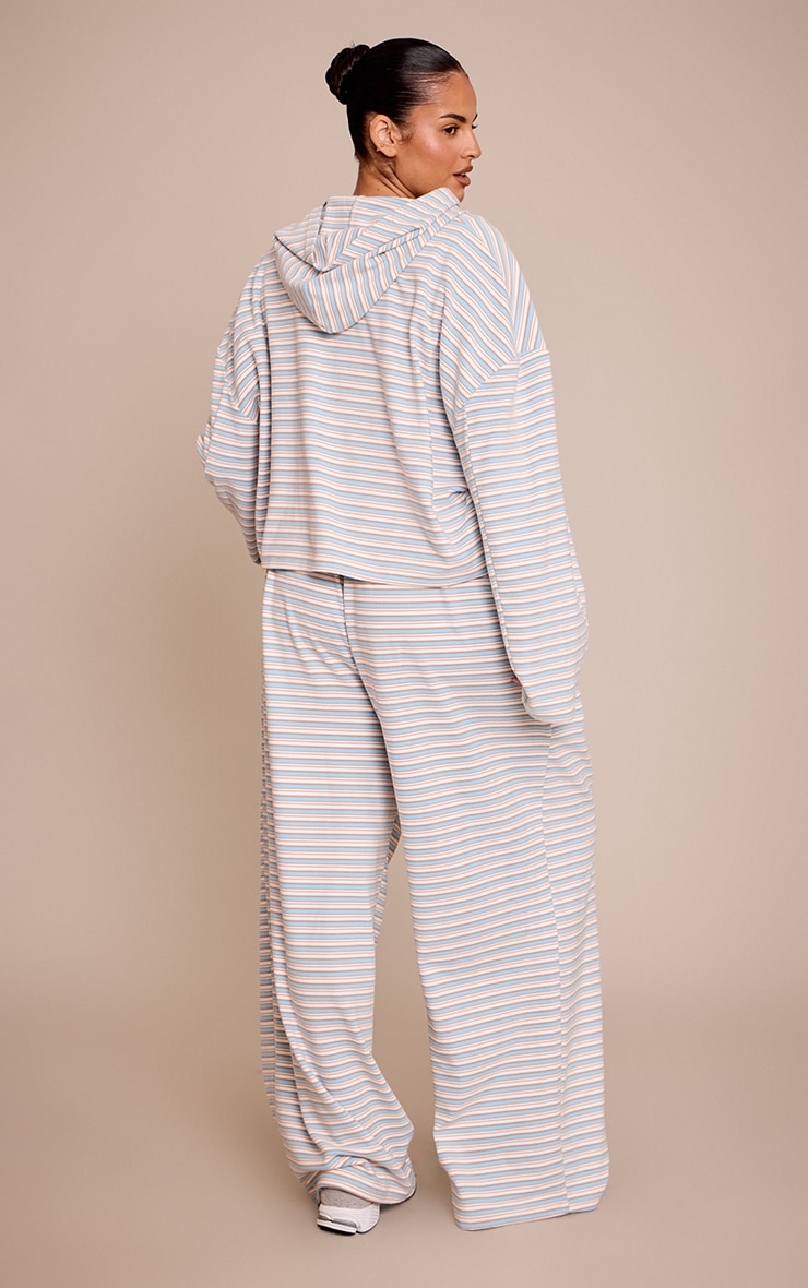 Plus Light Blue Striped Soft Fleece Straight Leg Sweatpants image 3