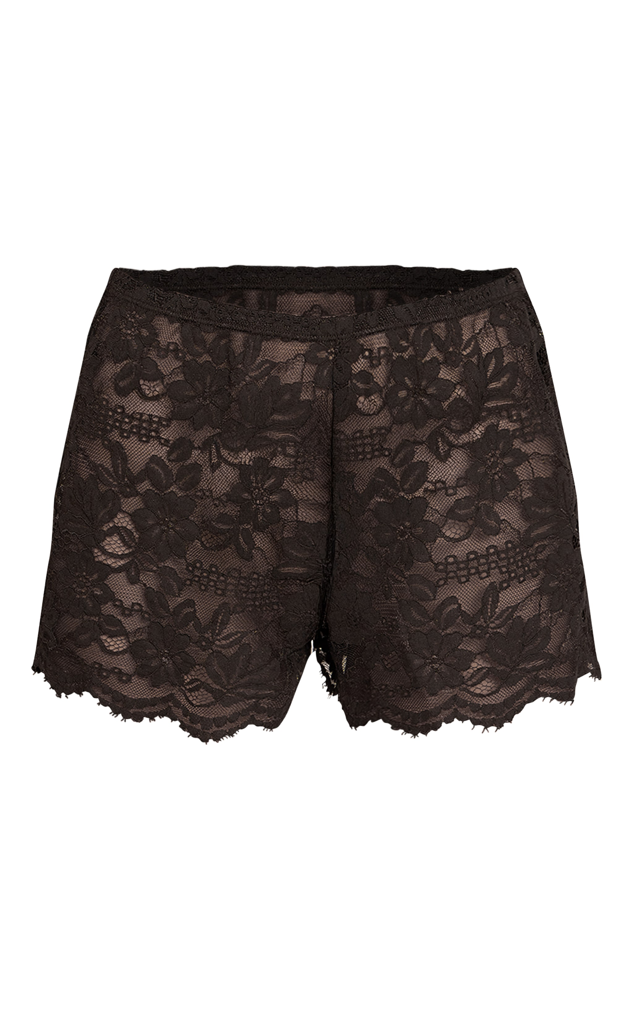 Chocolate Lace Shorts image 6