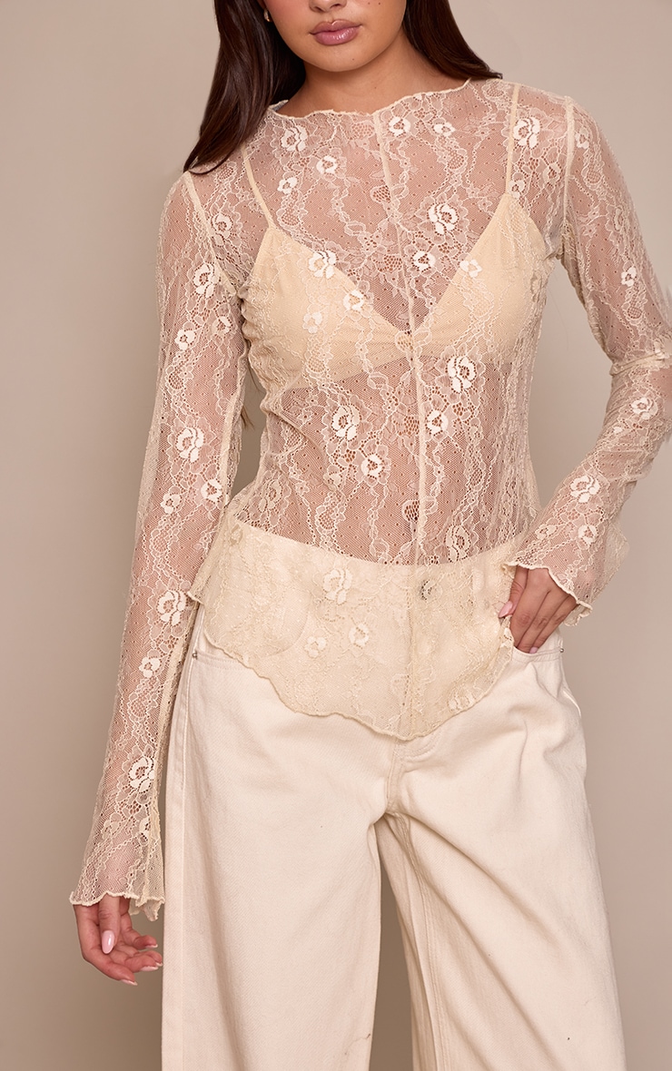 Cream Long Sleeve Delicate Lace Top image 4