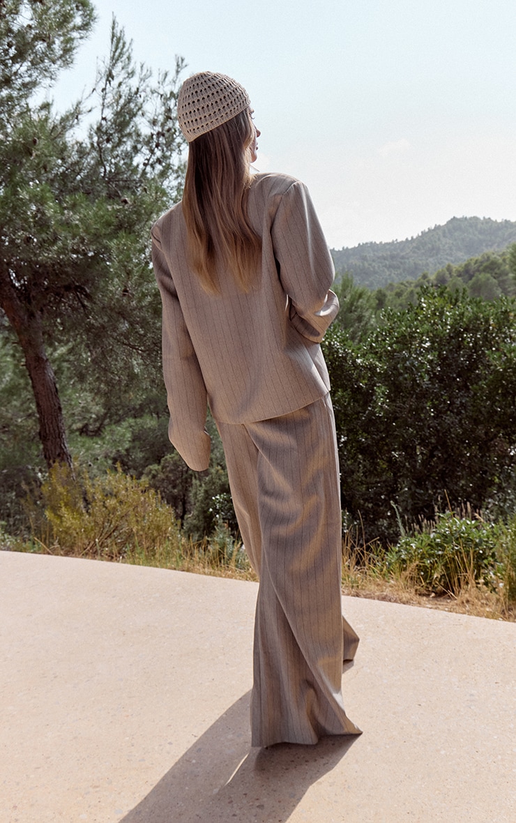 Taupe Pinstripe Pleated Wide Leg Pants image 2