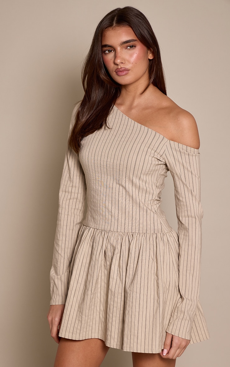 Stone Pinstripe Asymmetric Long Sleeve Shift Dress