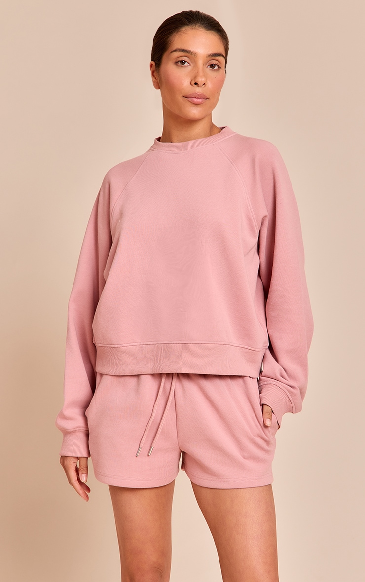 Petite Pink Crew Neck Sweatshirt image 1