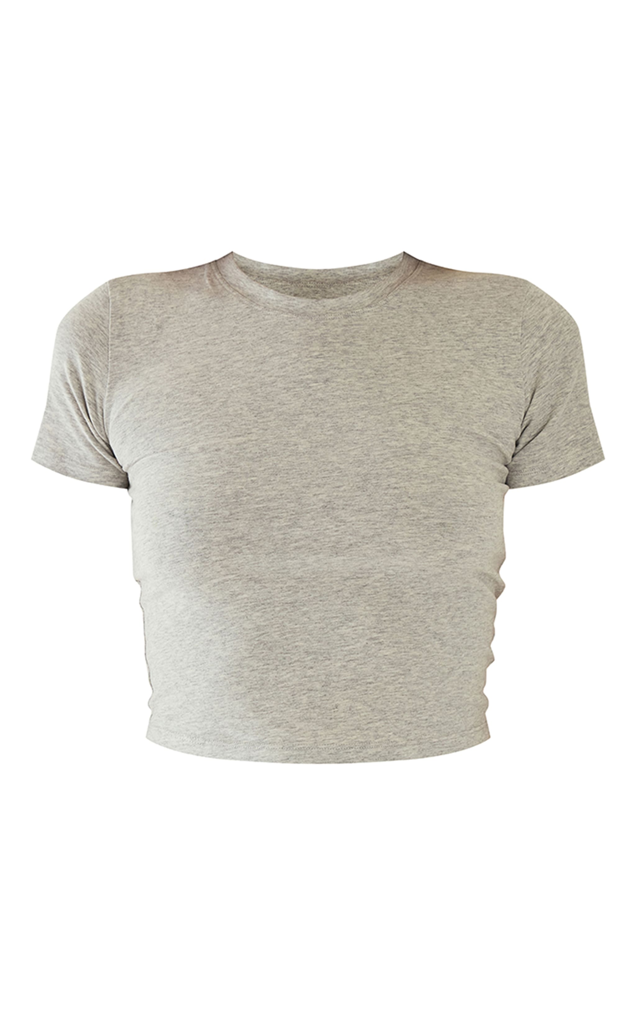 Ash Grey Sculpt Short Sleeve Crop Gym Top image 5