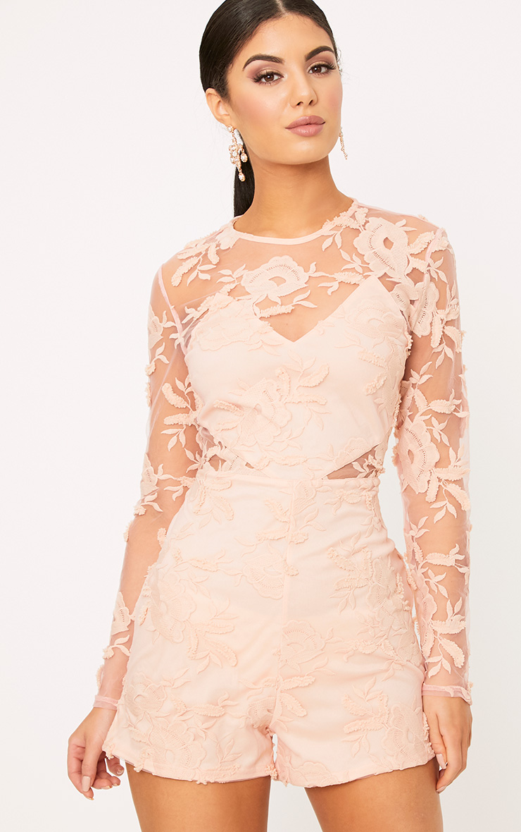Nude Flower Lace Playsuit. Playsuits PrettyLittleThing