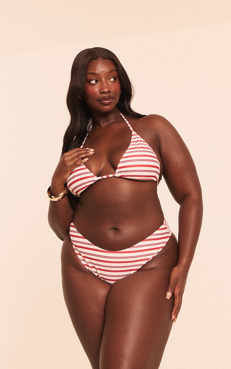 Plus Red Stripe Triangle Bikini Top image 4