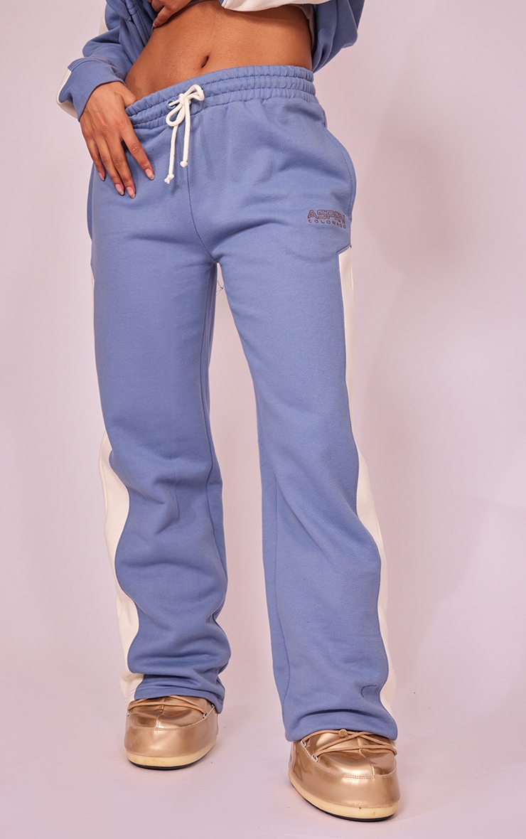 Baby Blue Aspen Embroidered Paneled Oversized Wide Leg Trousers image 2