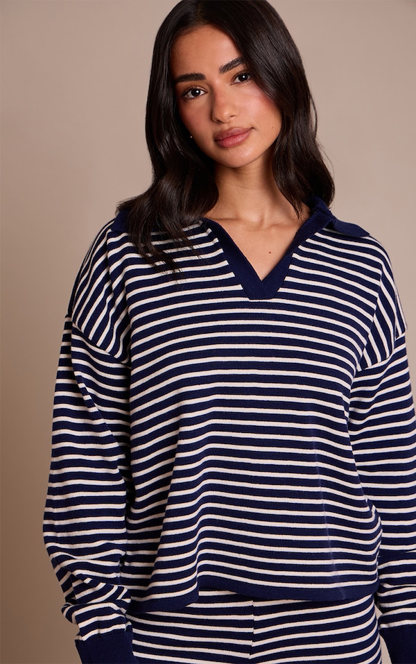 Petite Navy Striped Collar Knitted Sweater 