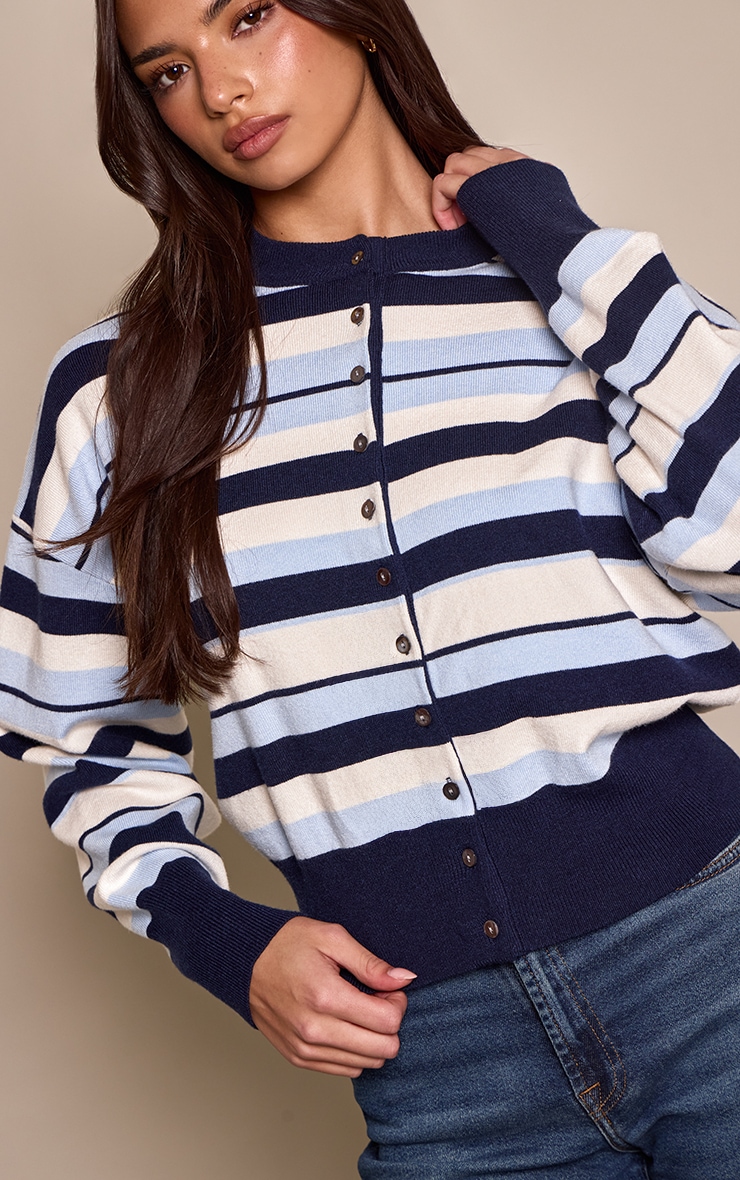 Blue Stripe Compact Knitted Cardigan  image 4