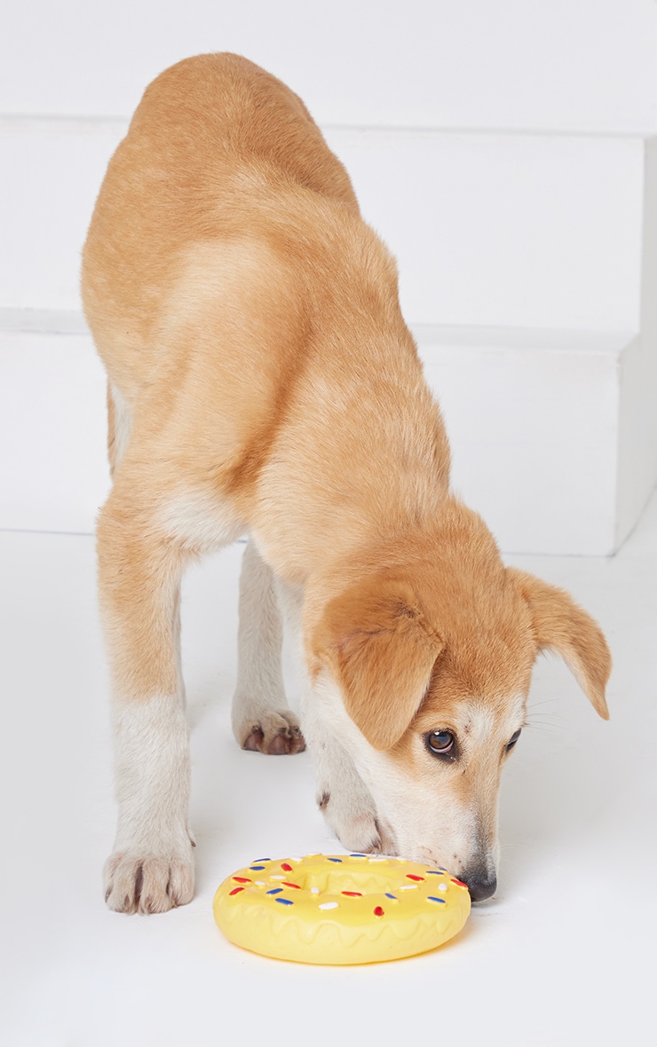 Yellow Squeaky Doughnut Dog Toy Accessories PrettyLittleThing IE