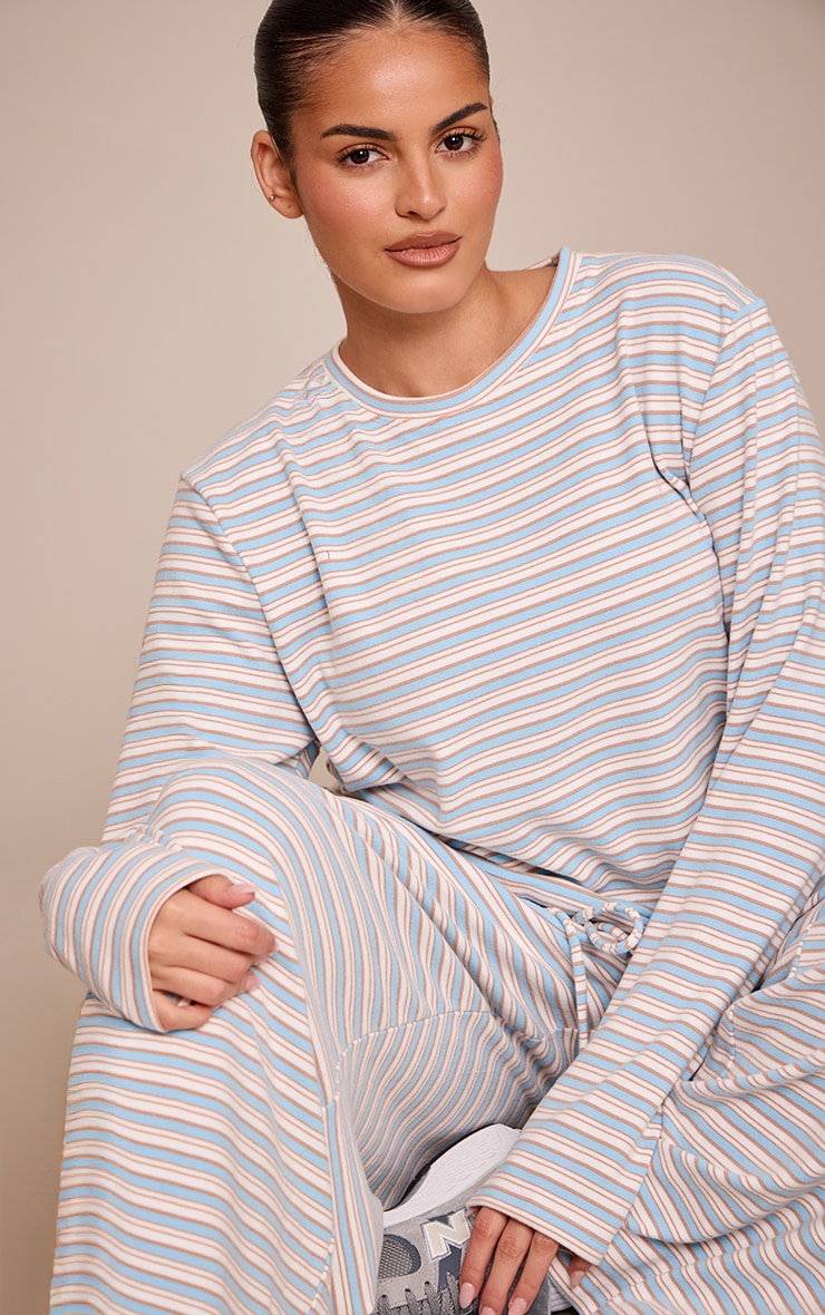 Plus Light blue Striped Soft Fleece Long Sleeve Top image 1