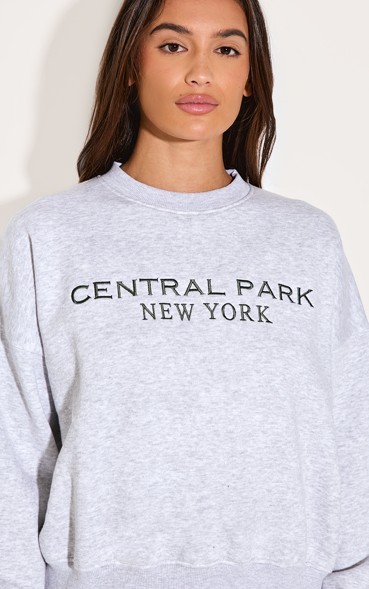  Ash Grey Central Park Embroidered Boxy Sweat image 4