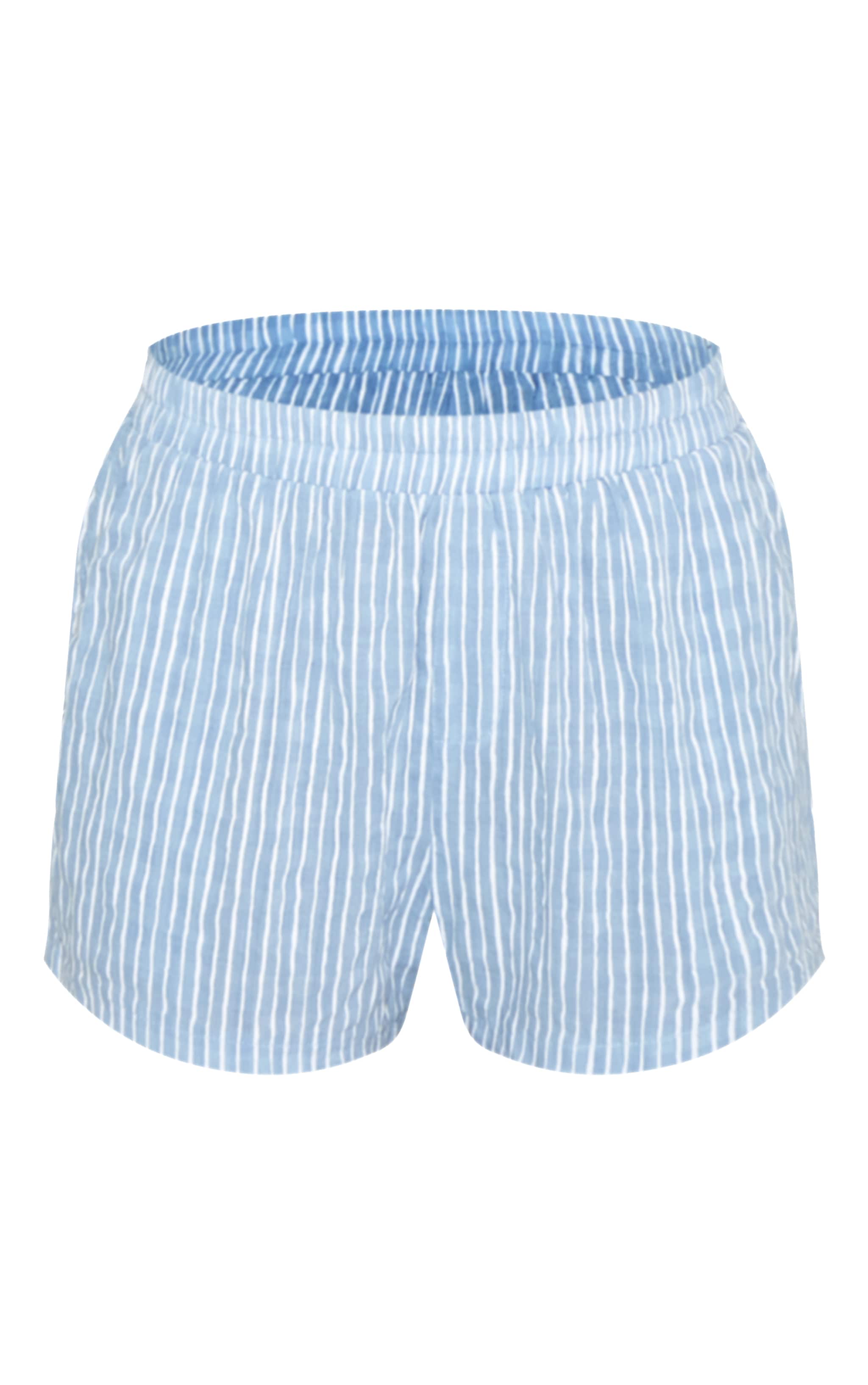 Blue Striped Linen Floaty Shorts image 6