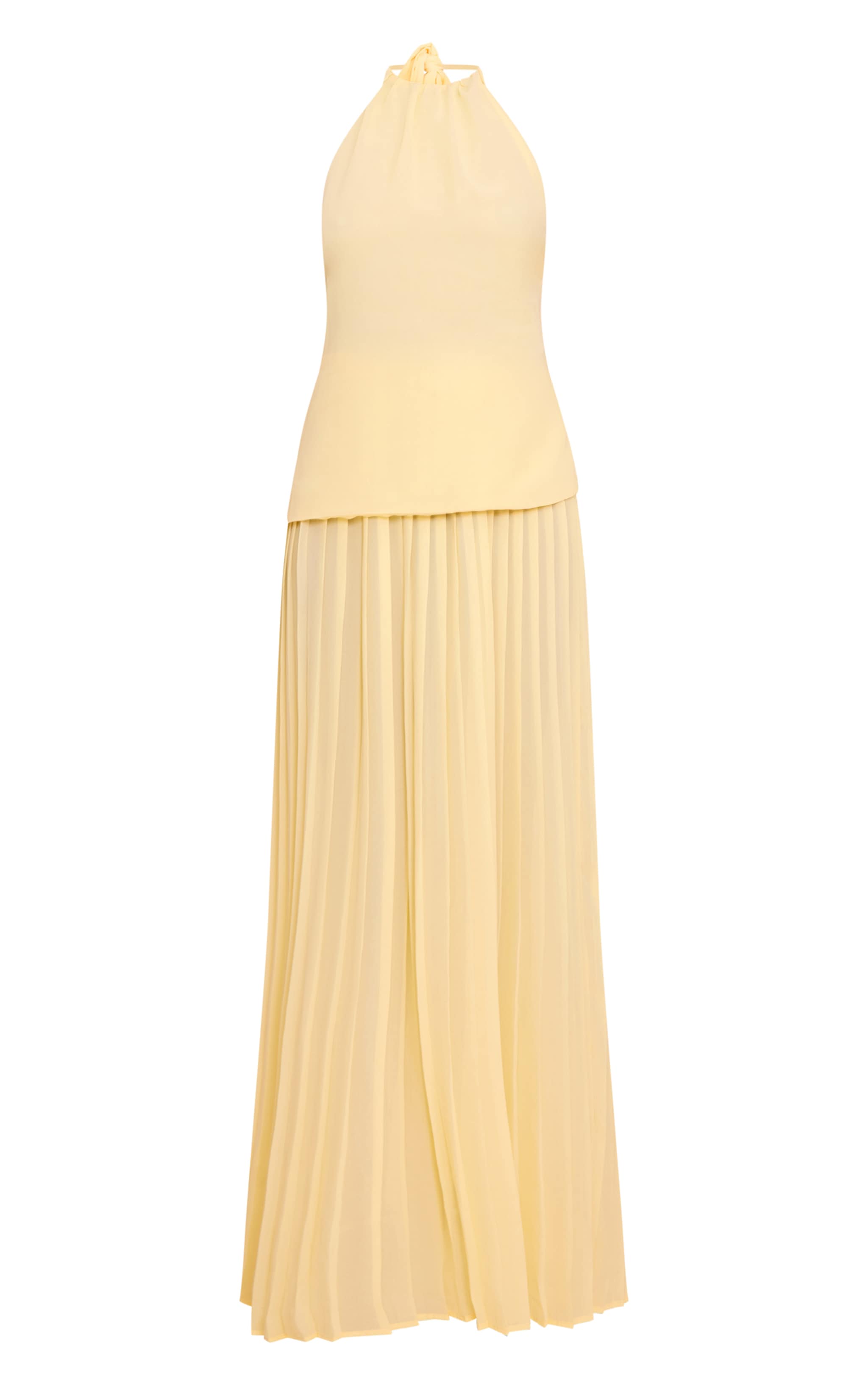 Lemon Overlay Pleated Skirt Maxi Dress image 5