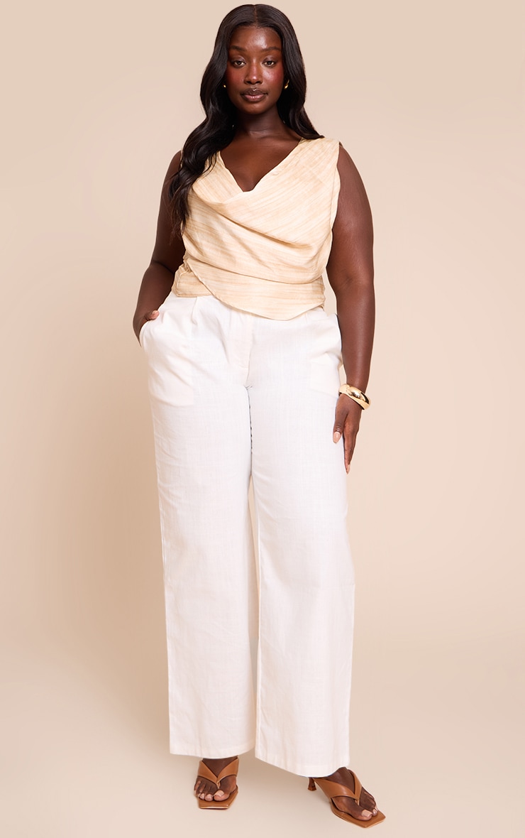 Plus Beige Stripe Matte Satin Trim Drape Detail Cowl Top image 3