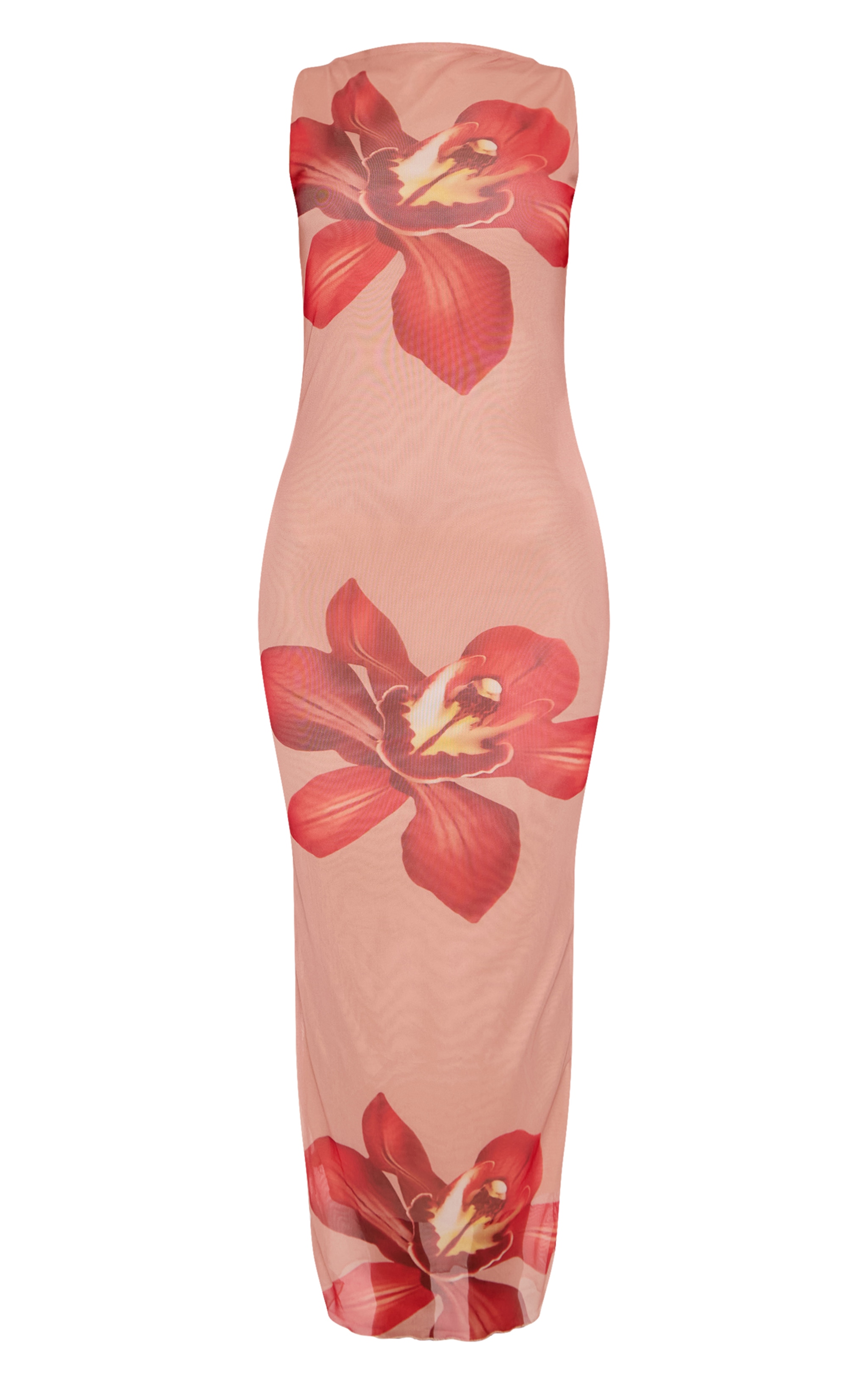 Nude Printed Mesh Floral Print Maxi Dress image 5