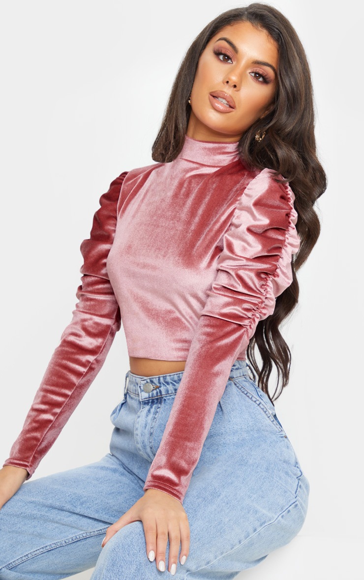 Rose Velvet Puff Ruched Sleeve Crop Top