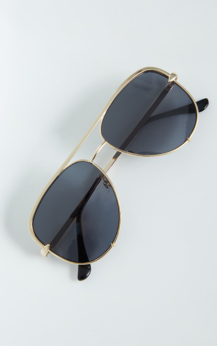 Oversized sunglasses aviator online