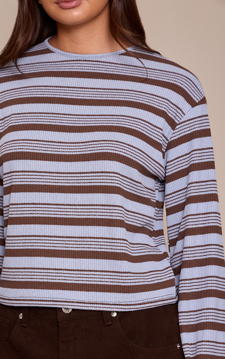 Blue Textured Stripe Detail Long Sleeve Top  image 4