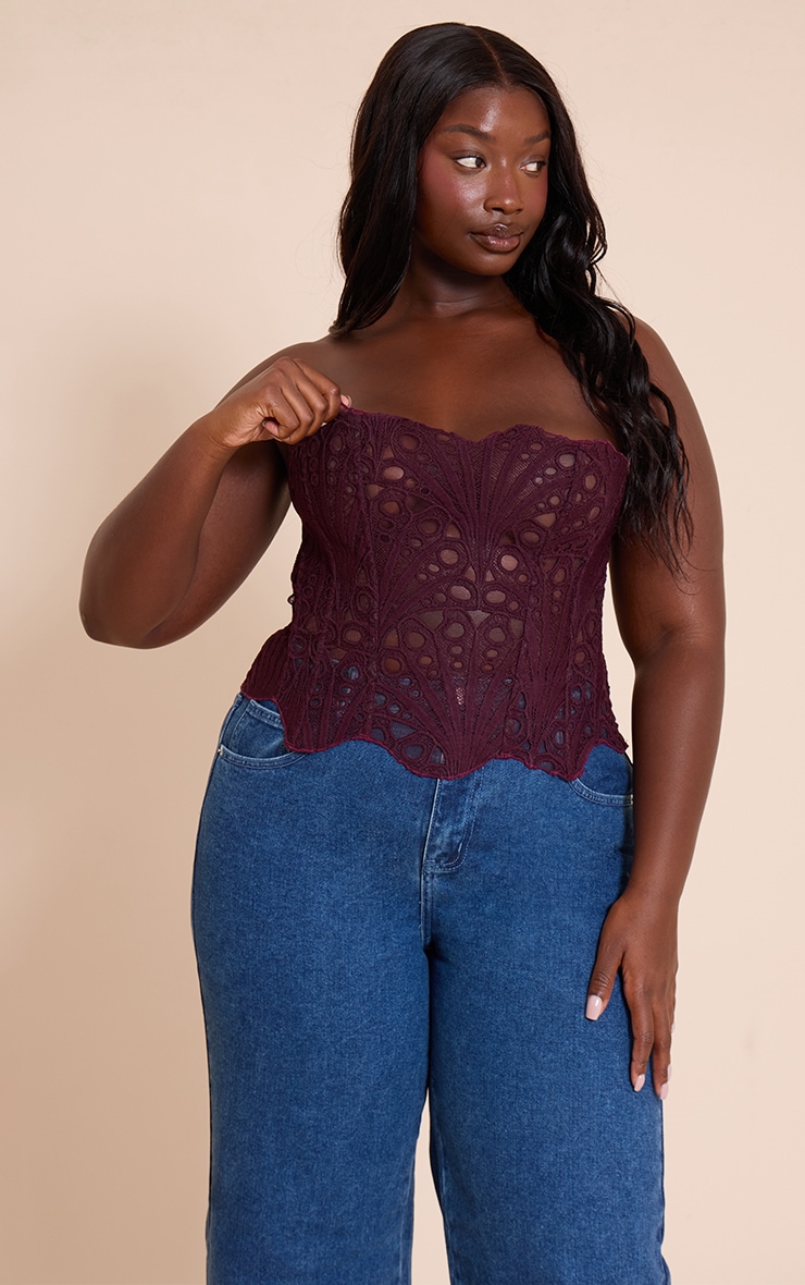 PLUS Plum Textured Sheer Floral Lace Corset image 1