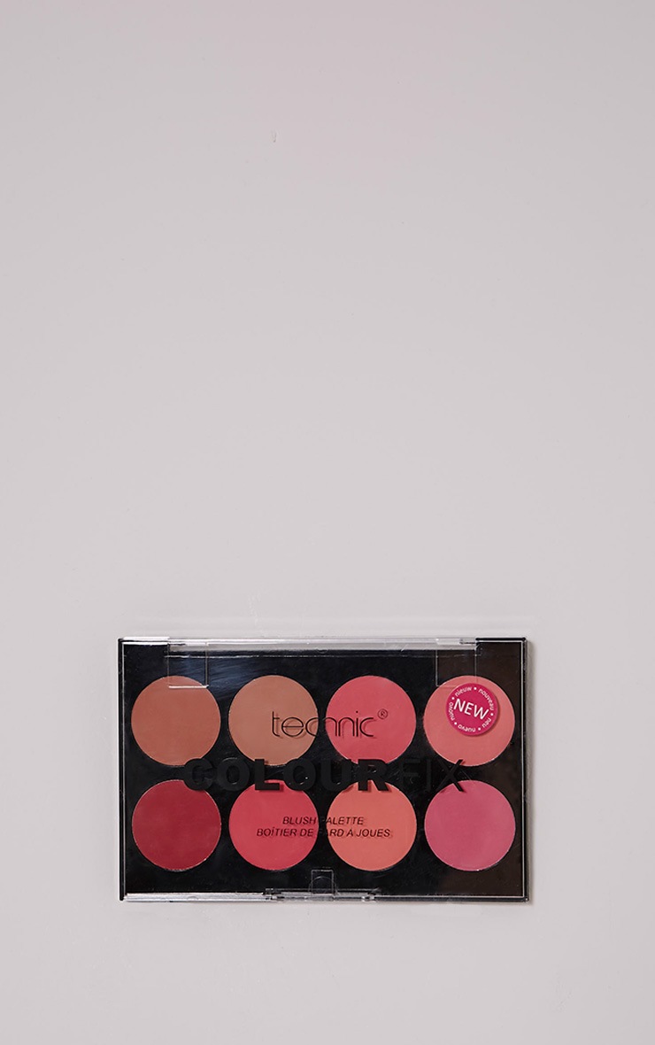 technic colour fix blush palette