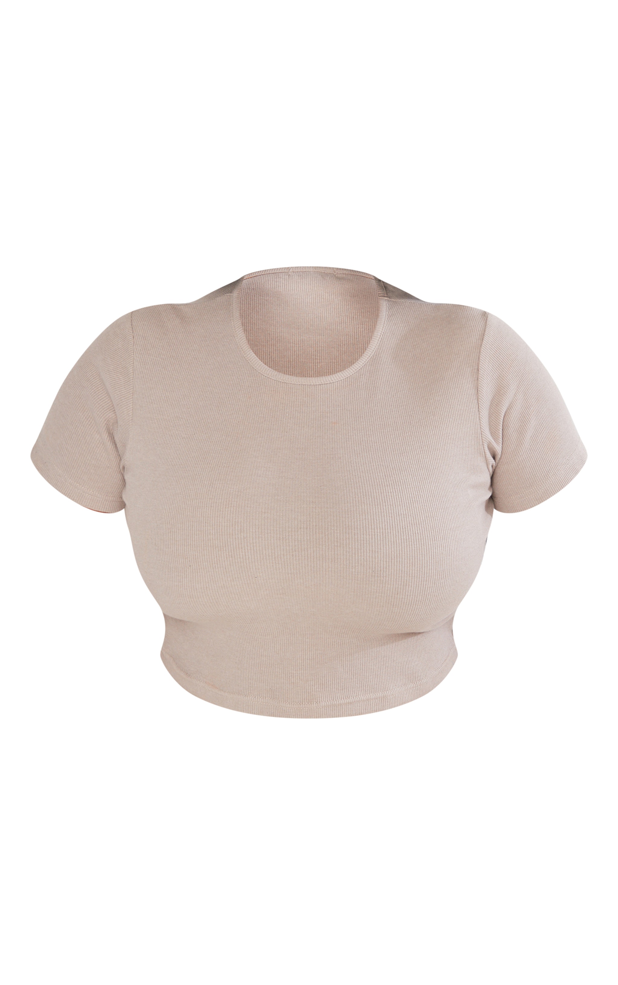 Plus Ash Grey Basic Rib Short Sleeve Crop Top image 2