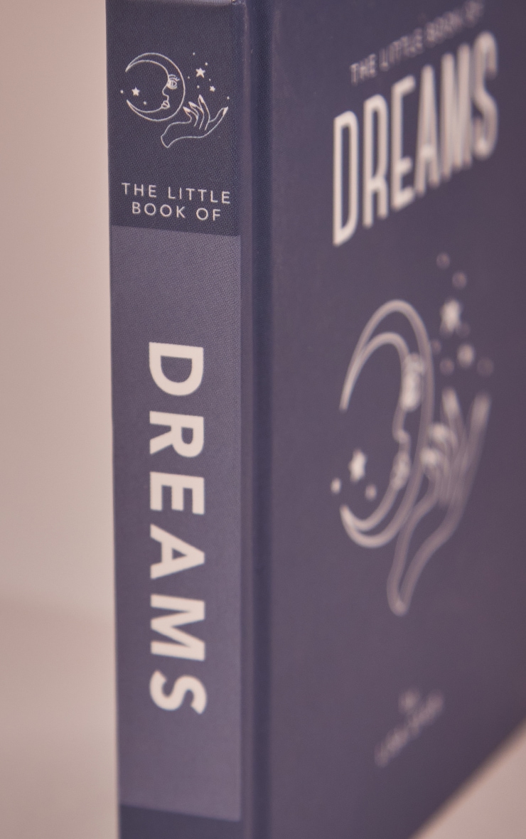 The little book of dreams édition anglaise image 3