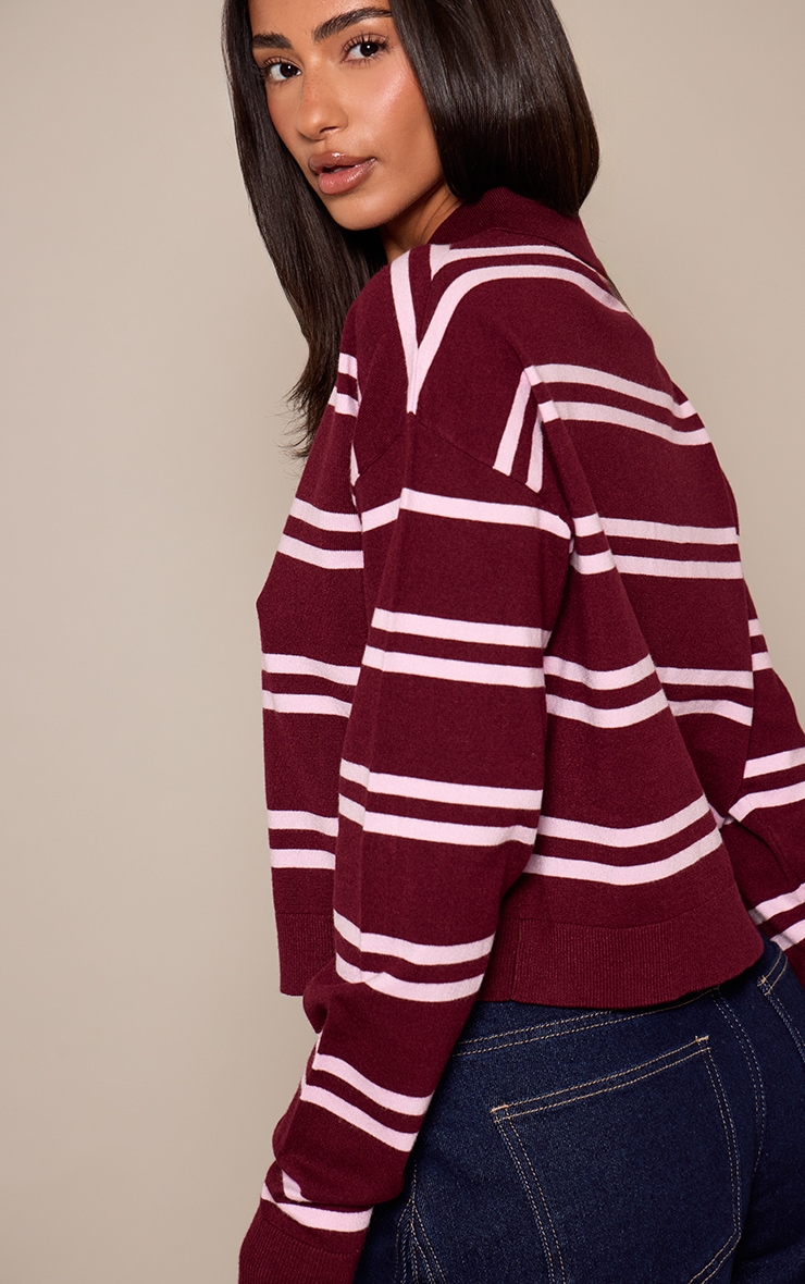 Petite Burgundy and Pink Stripe Polo Knit Long Sleeve Rugby Top  image 2