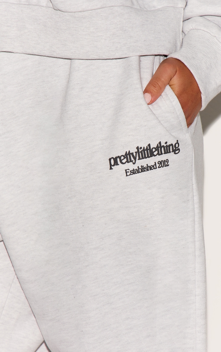 Plus Washed Grey Premium Print Wide Leg Sweatpants image 4