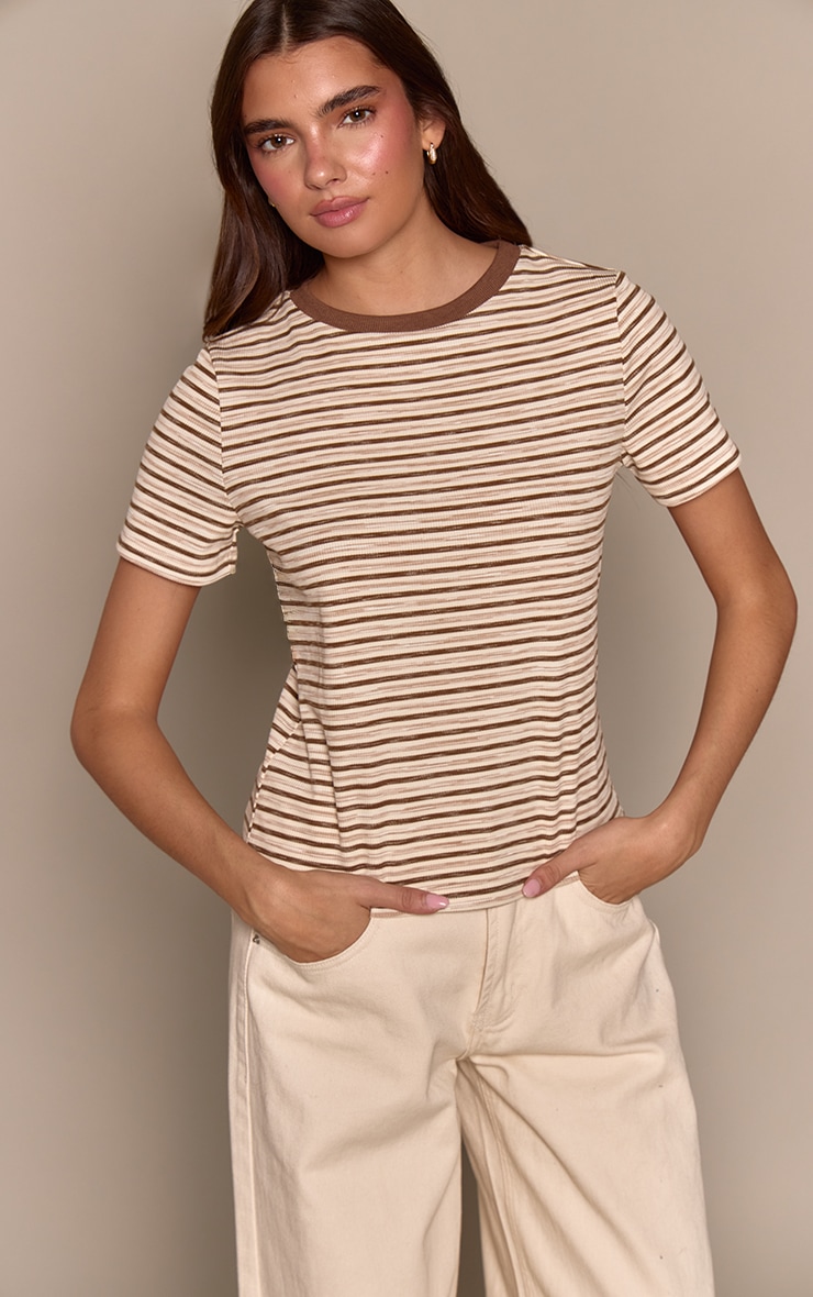 Light Brown Soft Rib Striped Detail  Fitted Short Sleeve Top  image 1