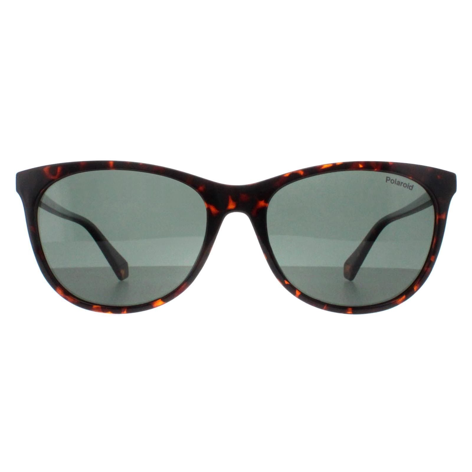 Polaroid Cat Eye Havana Green Polarized PLD 4161/S image 1