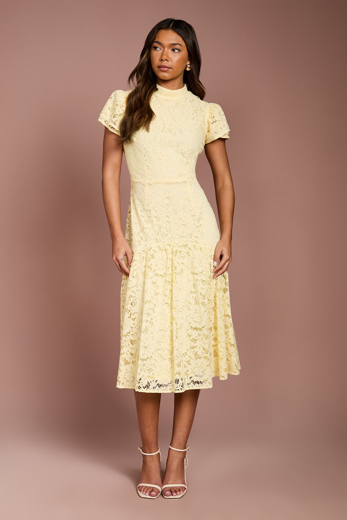 Coast Lace Frill Sleeve High Neck Midi Dress Yellow