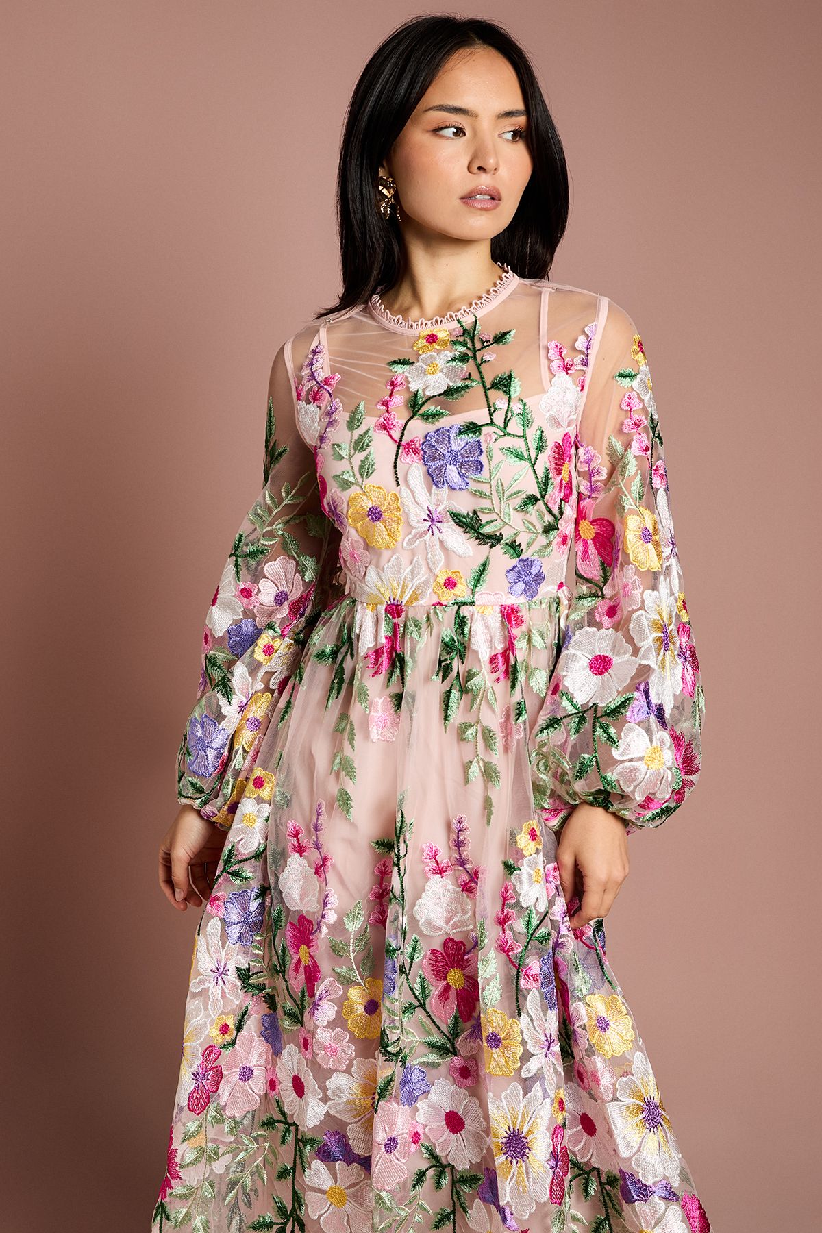 Coast Petite Long Sleeve Embroidered Maxi Dress Peach image 4