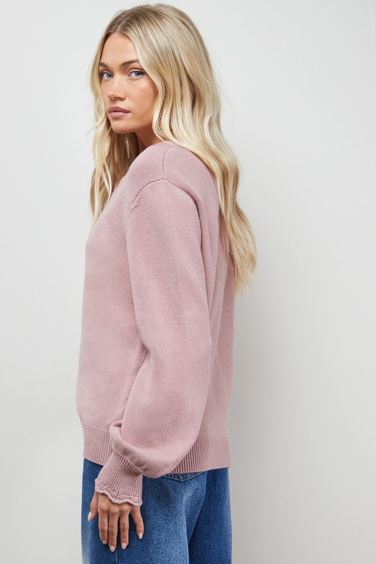 Oasis Soft Crochet Scallop Detail Jumper Dusky Pink image 3