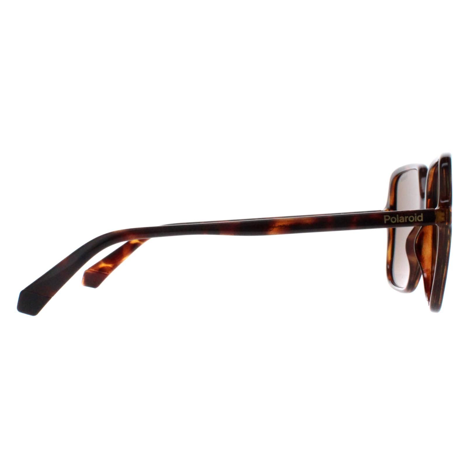 Polaroid Square Havana Bronze Polarized PLD 6219/S image 4