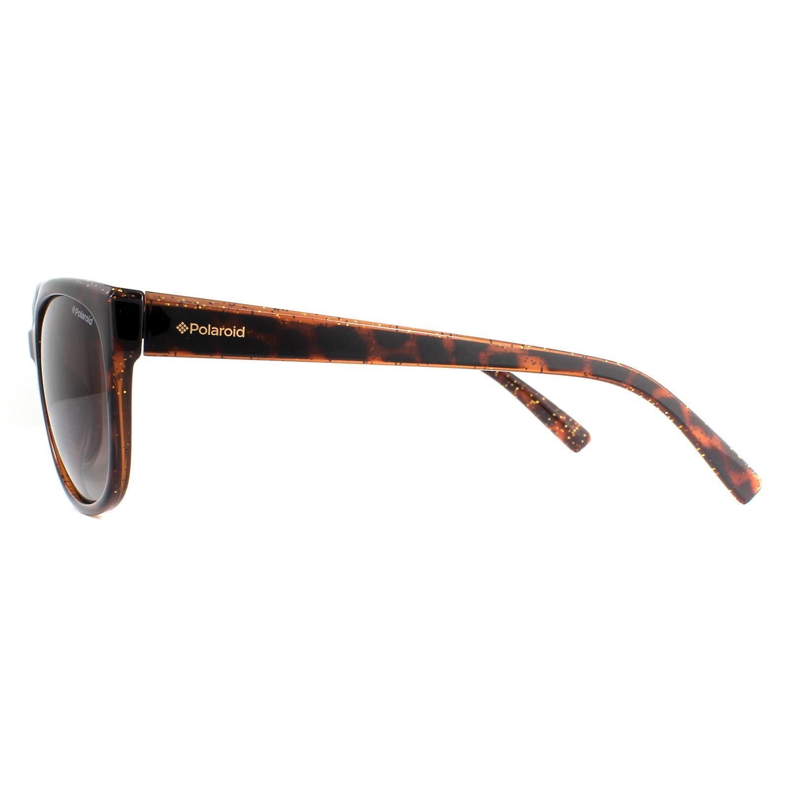 Polaroid Cat Eye Dark Havana Glitter Brown Gradient Polarized Sunglasses image 3