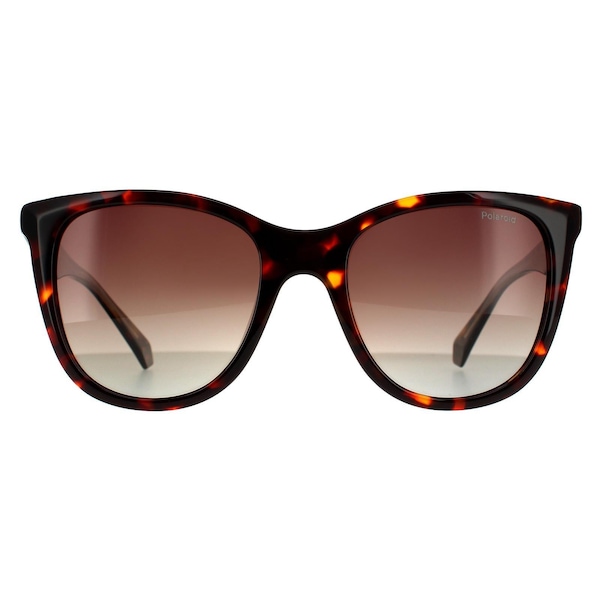 Polaroid Square Havana Brown  Brown Gradient Polarized